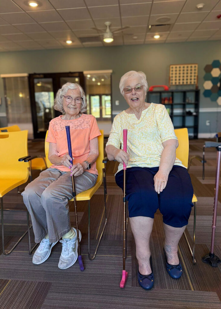 Blog cover reading "Wellness in Senior Living" with two photos of active seniors outdoors.